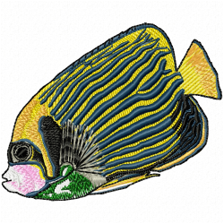 Fishes Embroidery Design 10 Fishes Embroidery Design 10